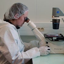 Video: Development of Knock-Out Muscle Cell Lines using Lentivirus-Mediated CRISPR/Cas9 Gene Editing