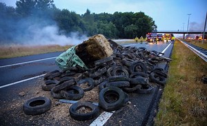 Farmer Protests in the Netherlands Show Just How Messy the Climate Transition Will Be