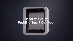 Smart Cat Door with Face Recognition – No Collar Needed, Keyless Entry for Cats（Outer Size 11.4"x10.4"）, App-Controlled Cat Door, Dual Power: Rechargeable Battery or Plug-in