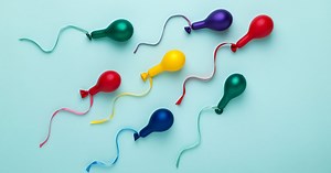 Ovulation et fécondation : durée de vie des spermatozoïdes