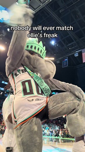 Meet Ellie the Elephant: The People's Princess 👑