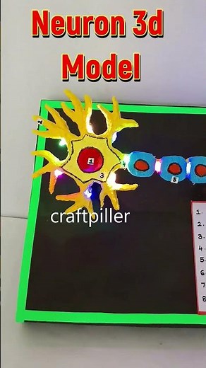 neuron 3d working model with led lights for science project exhibition - craftpiller