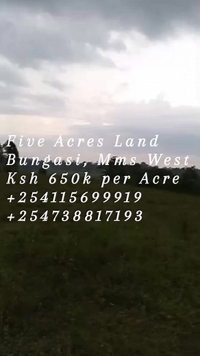 Five acres of land in Bungasi Umala, Mumias West listed for sale (near Barkelele shopping centre). Asking price Ksh 650k per acre, negotiable upon viewing. Direct transfer #call0738817193or0115699919 #ButereRealEstate #legitAndTrustedOnlineSeller | Stan Lee Nawate | Facebook