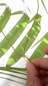 Gold Ammonite Shell Necklace: 18k Gold Plated Pendant - Etsy