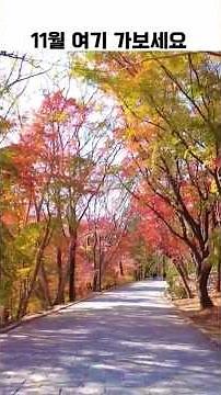 Top 8 Domestic Travel Destinations for November #shorts