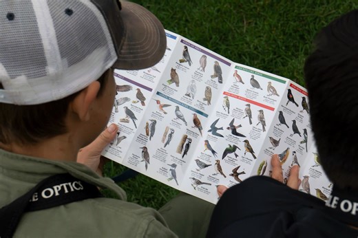 1.8K views · 54 reactions | 礪✨ Birding Fun at the Library – A Big...