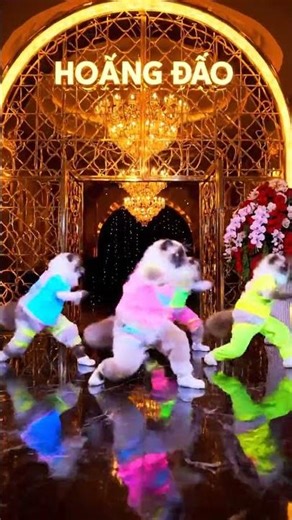 Rave Cats Glow Under Neon Lights #CatDance #RemixShow