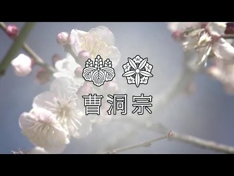 「曹洞宗」紹介動画
