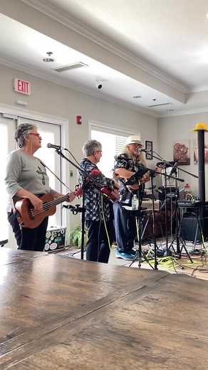 Stray cat strutting… | Greener Pastures