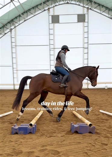 A Day in the Life of Equestrian Training
