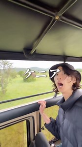 osada /おさだ on Instagram: "シマウマも好きです。 #ケニア #海外旅行 #ナイロビ #ひとり旅 #アフリカ #サファリ"