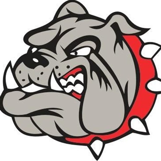 Bedford Bulldogs Youth • Home