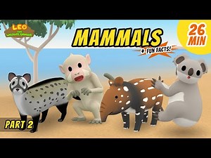 Mammals (Part 2/8) - Fun, Exciting Animals Stories for Kids | Educational | Leo the Wildlife Ranger