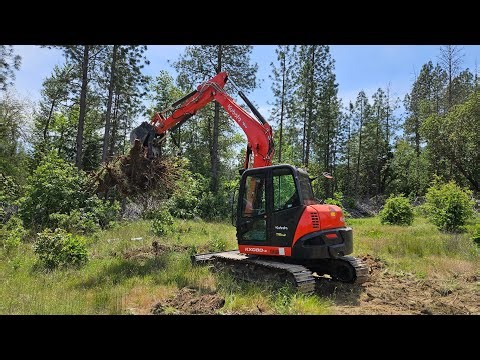 Hundreds of stumps to dig with the Kubota KX 080 4 excavator
