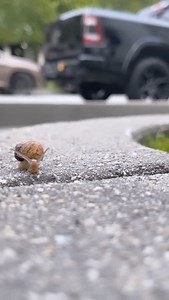 30 reactions · 6 comments | Quincy on Reels | Facebook