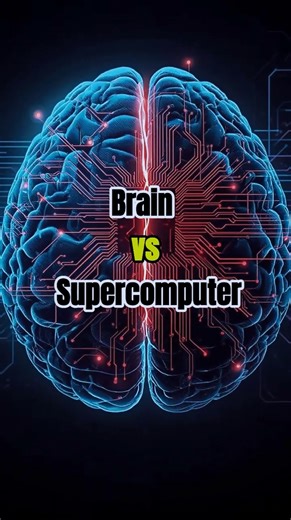 Brain vs Supercomputer 🧠⚙️#mindblowingfacts #sciencefacts #factology #neuroscience