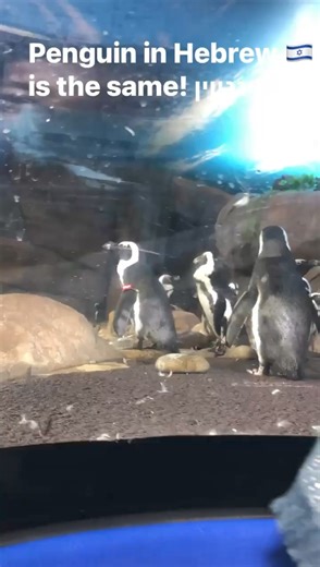 1.9K views · 67 reactions | Good morning, language learners!  Just...