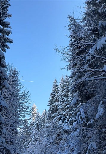 Discover the Beauty of Snowy Mountains in Bosnia
