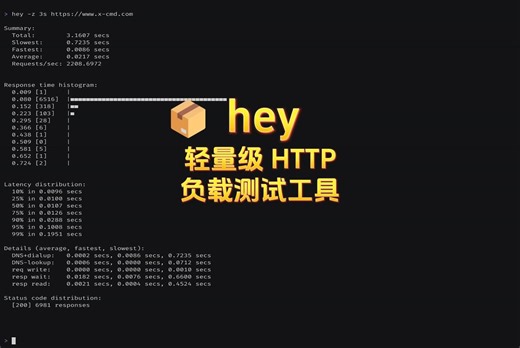 📦 hey: 轻量级 HTTP 负载测试工具