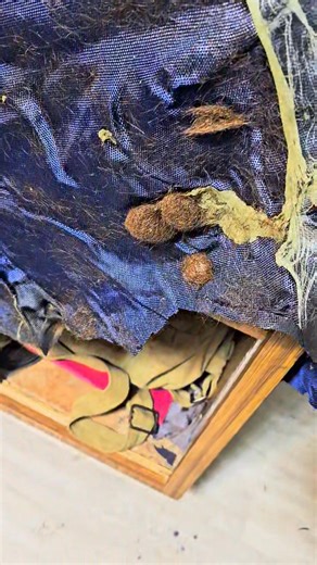 Gremlins! | K&L Horse Blankets Laundering & Repair | Facebook