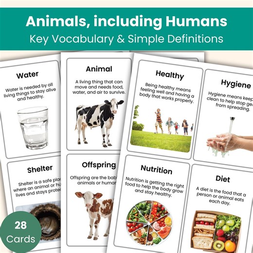 Year 2 Science Vocabulary Cards | Animals, Including Humans Flashcards | Life Cycles, Growth & Healthy Living | Science Printable - Etsy Australia
