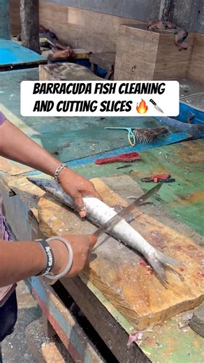 ⚡ Razor Sharp Skills! Big Barracuda Fish Cleaning & Perfect Slice Cutting 🐟🔪
