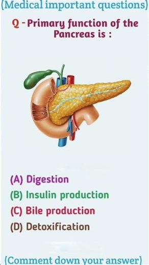 what is primary function of pancreas #ytshorts #viral #shorts #feed #biology#neet#aspirants#pancreas