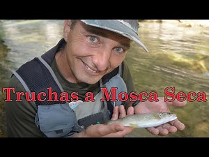 How to fish for trout with a dry fly: Basic equipment: rod, reel, and flies
