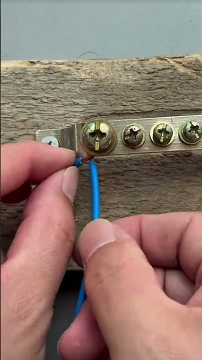 Strip the electrical wire with a wire stripper and cut a piece with scissors to attach to the switch