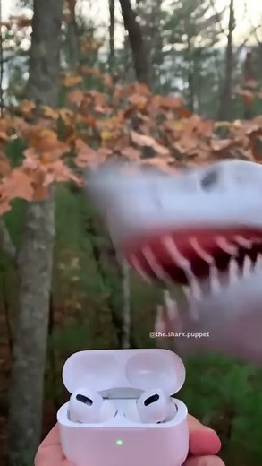 SHARK PUPPET AIRPOD PRANK GONE WRONG!!!!!