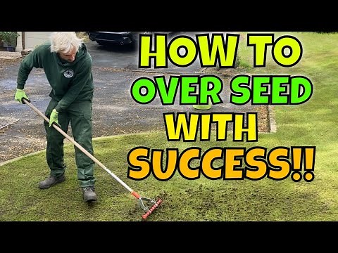 Spreading SEEDING on a NEW lawn // Repairing Winter Damage in Spring
