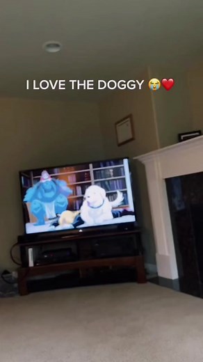 Heartbreaking Full Metal Alchemist Crying Meme Compilation