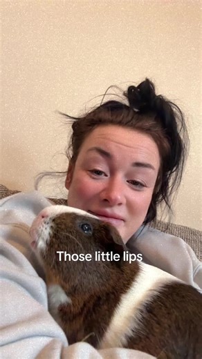 Little lips 💋 #guineapigsoftiktok