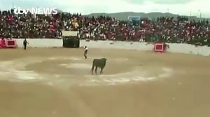 Shocked spectators were sent running to safety after a bull leapt over ringside barriers and stormed headfirst into the crowd during a bullfight. Read more: http://bit.ly/1RUlbgG | ITV News