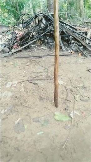 perfect loop tutorial