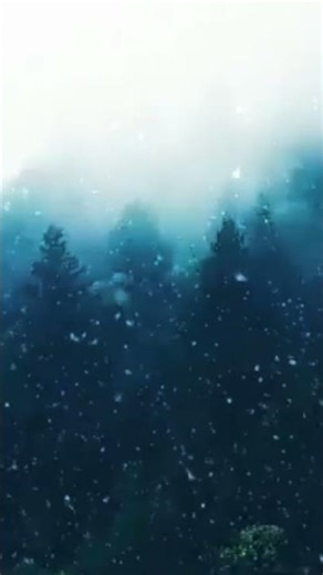 Winter Forest Loop ❄️🌲 Calm Snow & Wind Wallpaper