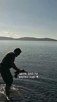 Διάσωση χελώνας Καρέτα Καρέτα #greece #carreta #lesvos