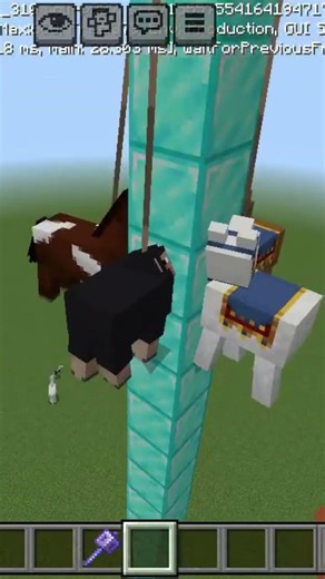 Minecraft Amusement Park 🎢🎡