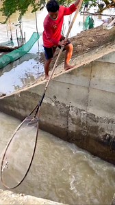 Amazing Fishing #Fishing #fish #water | The Both