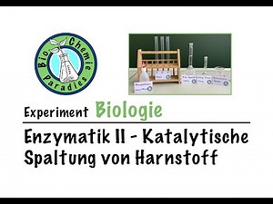 Experiment Biologie – Enzymatik II – Katalytische Spaltung von Harnstoff durch Urease