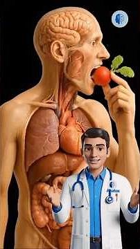 What Happens When You Eat Radish Every Day? #anatox #doctor # #easynutrition #usa #uk #canada #facts