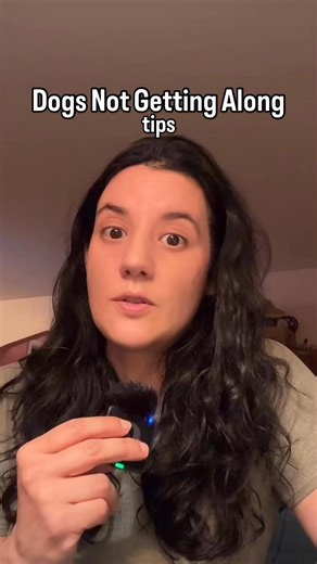 When two dogs in the same home aren’t getting along, safety and structure are key. Use baby gates, crates, or rotate the dogs in different areas to prevent fights and reduce stress. Keep a log of what triggers their tension—like food, toys, or attention—to uncover patterns. Work with a certified behavior professional to develop a customized plan. Use positive reinforcement to help the dogs build good associations with each other, and avoid punishment, which can make things worse. With patience a