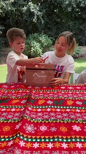 5.1K views · 21 reactions | First-time gingerbread architects with Gingerbread FolkI can't tell you how much fun we had assembling and decorating our very first gingerbread house. It’s yummy, vegan, sustainably made, not too sweet and even comes in three types: traditional, chocolate and gluten-free.It’s very easy to assemble and everything needed comes in a kit, including the Royal Icing. | Cook Vegetarian | Facebook