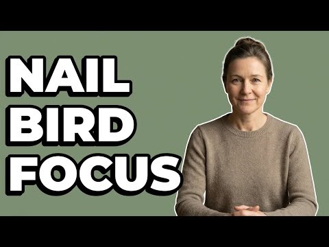 What Autofocus Modes Help Get Sharp Bird Photos?