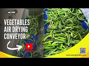 Vegetables Air Drying Conveyor | Multi Stage