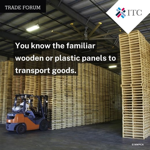 #TradeForum spoke with Small Business Champion winner Thao Tran of Netzero Pallet about a game-changing innovation in the pallet industry that is transforming packaging and logistics through circular, negative-carbon materials. Their flagship product, the NetZero Pallet, is made from agricultural and forestry waste. Not only is it a sustainable alternative to wood or plastic pallets — it is a bold step toward cleaner, circular supply chains. Find out more in our new interview ➡️ https://bit.ly/4