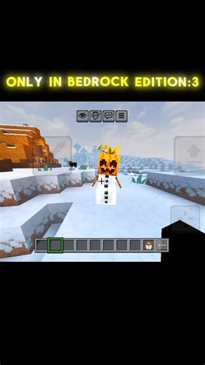Only in Bedrock Edition:3