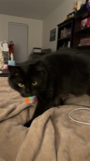 Fancy Man and His Unusual Challenges