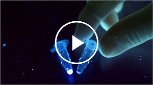 Life Out There: Eden in a Test Tube