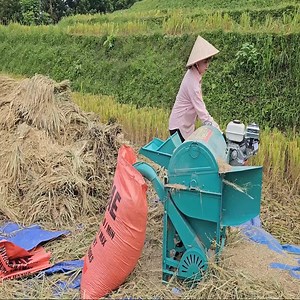 115K views · 4.5K reactions | Finish harvesting the rice, collect it, and use a little threshing machine to thresh it. | Kayden Valencia | Facebook